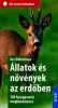 Állatok és növények az erdőben
