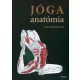 Jóga anatómia