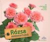 Rózsa mindentudó - 99 lényegretörő válasz