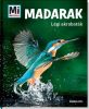 Madarak - Légi akrobaták