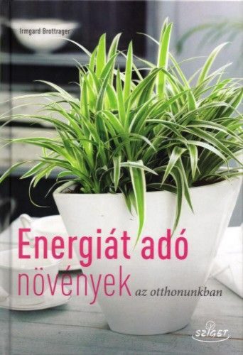 Energiát adó növények az otthonunkban