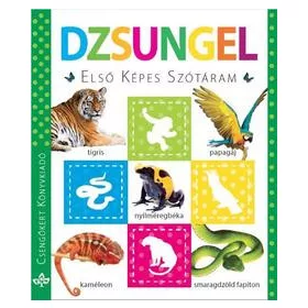 Dzsungel