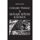 Coelum Terrae - A mágus isteni káosza