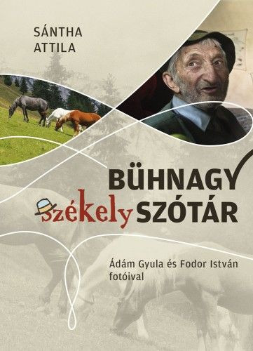 Bühnagy székely szótár