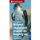 Milyen ragadozó madár és bagoly ez?