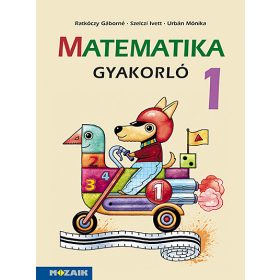 Matematika gyakorló 1. osztály (MS-1663U)
