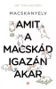 Macskanyelv