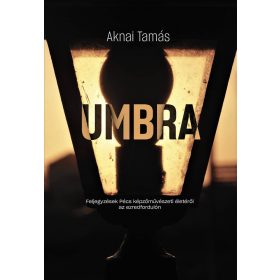   UMBRA Feljegyzések Pécs képzőművészeti életéről az ezredfordulón