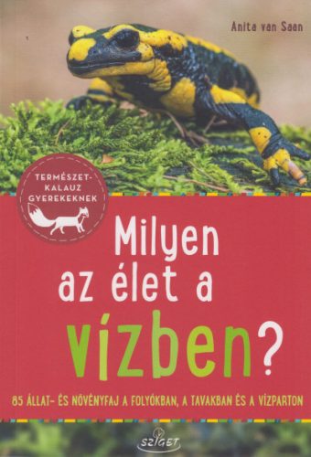 Milyen az élet a vízben?