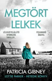 Megtört lelkek - Lottie Parker 7.