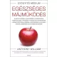 Egészséges májműködés - puhatáblás