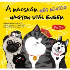 A macskám még mindig nagyon utál engem