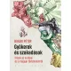 Gyökerek és szakadások