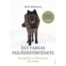 Egy farkas fejlődéstörténete