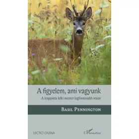 A figyelem, ami vagyunk