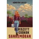 Elveszett csókok Sanremóban