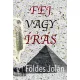 Fej vagy írás