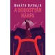 A borostyán hárfa