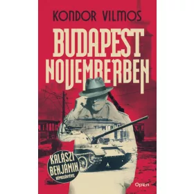 Budapest Novemberben