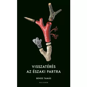 Visszatérés az északi partra