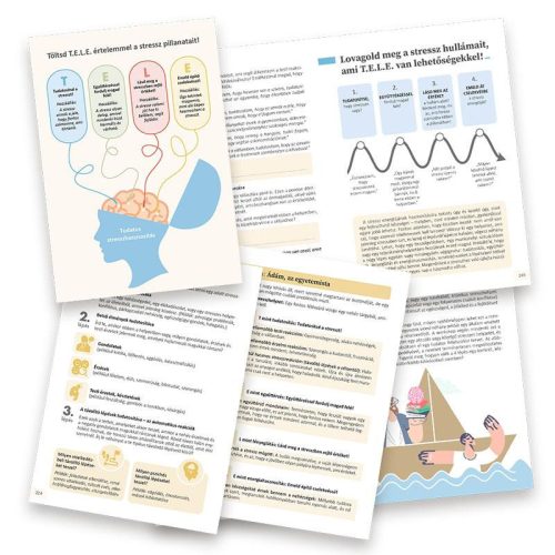 Stresszcsökkentés helyett hasznosítsd a stresszt