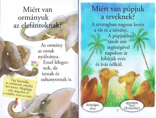 Olvass velünk! (1) - Kérdések az állatokról