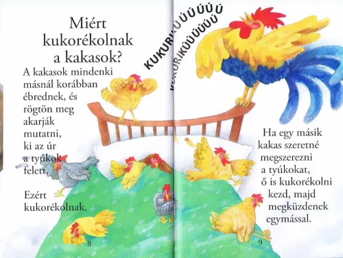 Olvass velünk! (1) - Kérdések az állatokról