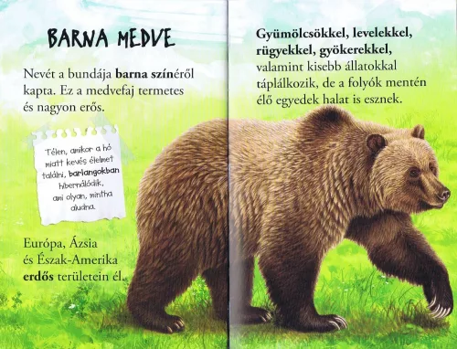 Olvass velünk! (1) - A medvék világa