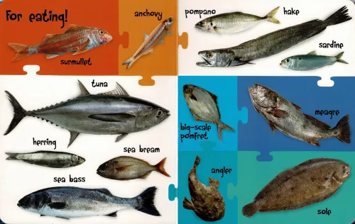 My First 100 Words - Sea Animals