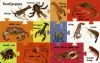 My First 100 Words - Sea Animals