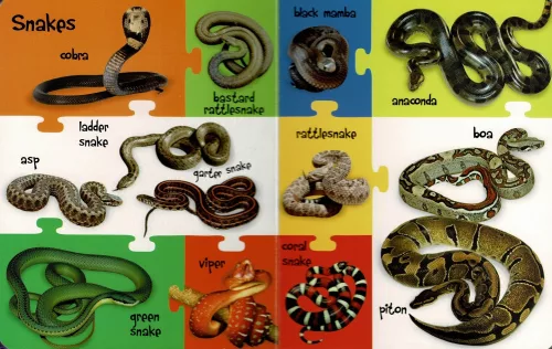 My First 100 Words - Wild Animals