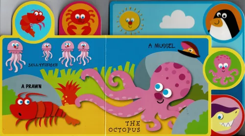 Meet the... - Sea animals