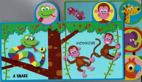 Meet the... - Jungle animals